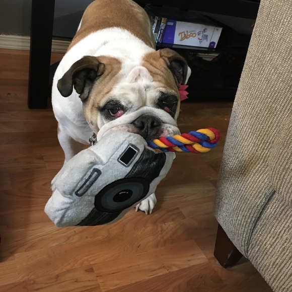 Your seller, Brittany - Picture 7 of 15